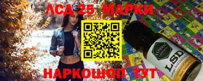 гидра Можга