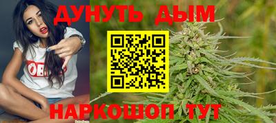 spice Моздок
