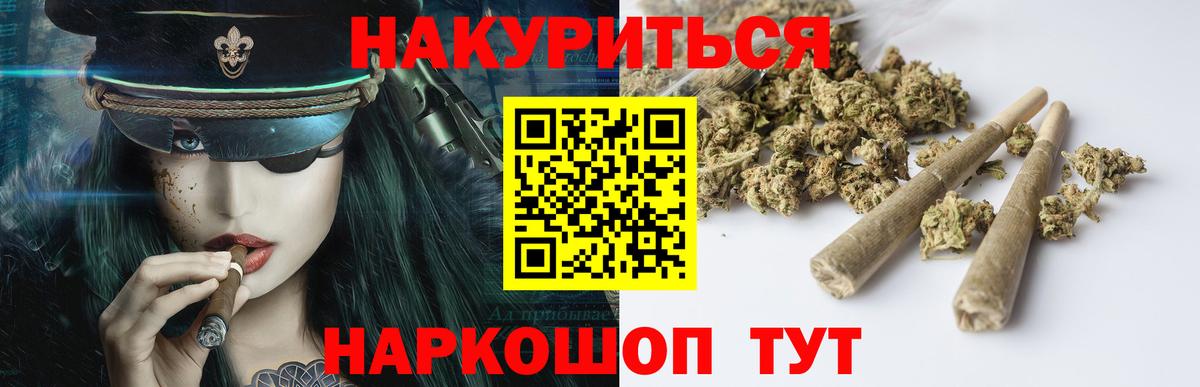 Бошки Шишки план Великий Устюг